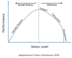 good-and-bad-stress Estresse: Estimulantes ou Adaptógenos?