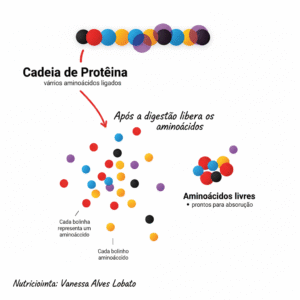 Colágeno - digestão