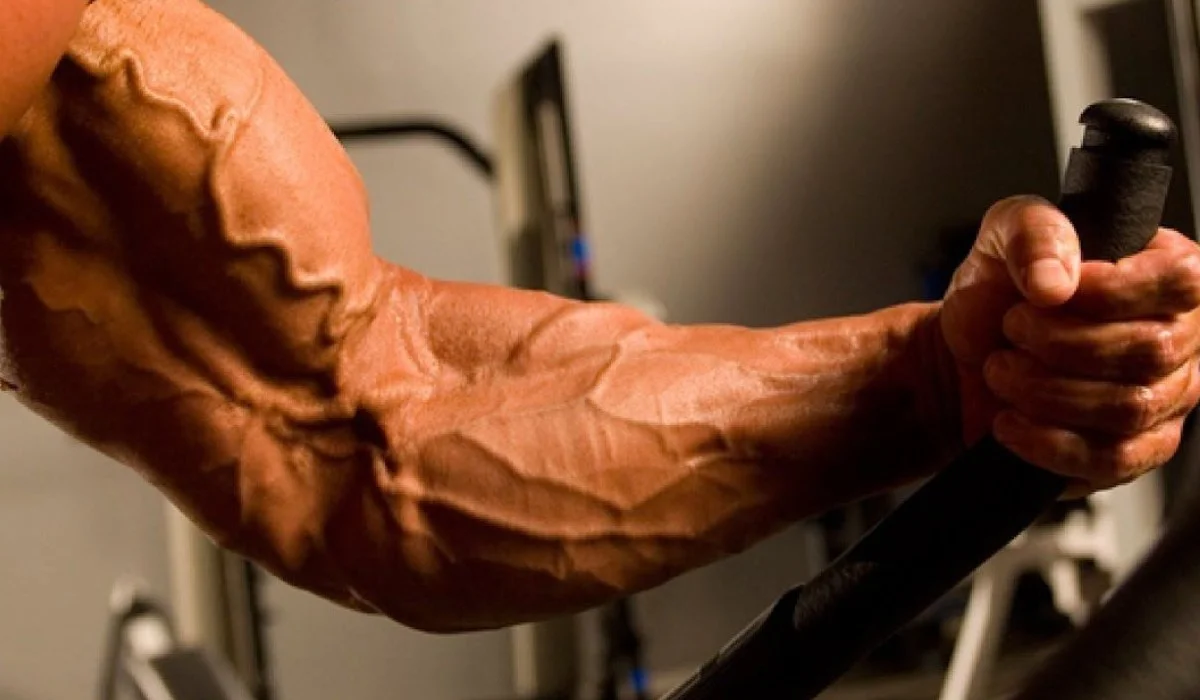 Comparação entre vasoconstrição por cafeína e vasodilatação para hipertrofia muscular