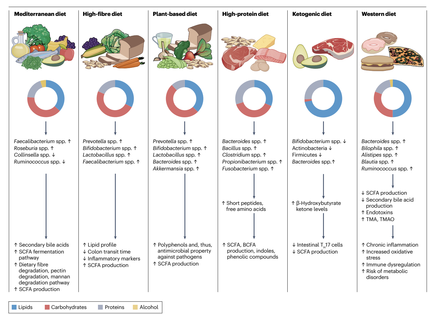 Fig 1: Macronutrient composition os whole diet and their effect on the gut